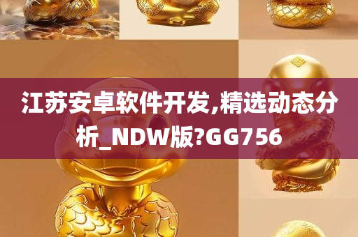 江苏安卓软件开发,精选动态分析_NDW版?GG756