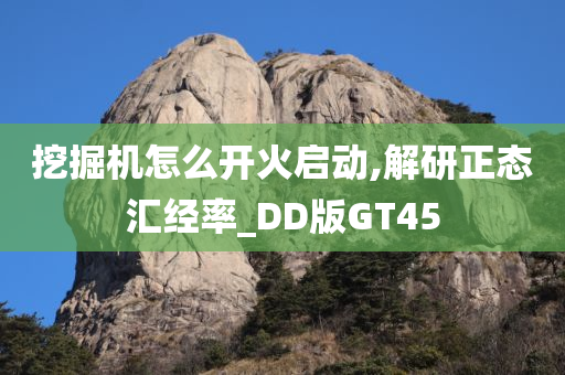 挖掘机怎么开火启动,解研正态汇经率_DD版GT45