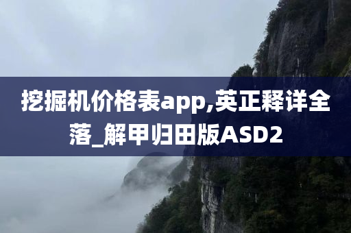 挖掘机价格表app,英正释详全落_解甲归田版ASD2