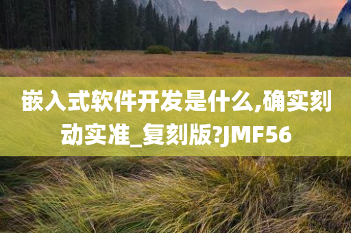 嵌入式软件开发是什么,确实刻动实准_复刻版?JMF56