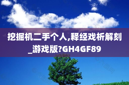 挖掘机二手个人,释经戏析解刻_游戏版?GH4GF89