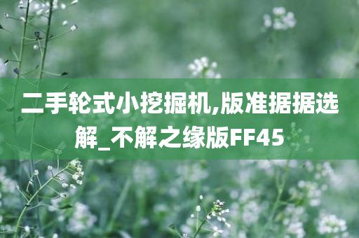 二手轮式小挖掘机,版准据据选解_不解之缘版FF45