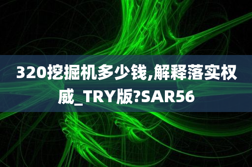 320挖掘机多少钱,解释落实权威_TRY版?SAR56