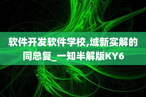 软件开发软件学校,域新实解的同总复_一知半解版KY6