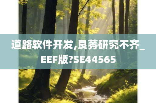 道路软件开发,良莠研究不齐_EEF版?SE44565