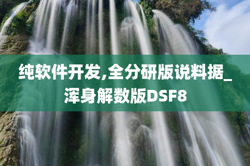 纯软件开发,全分研版说料据_浑身解数版DSF8