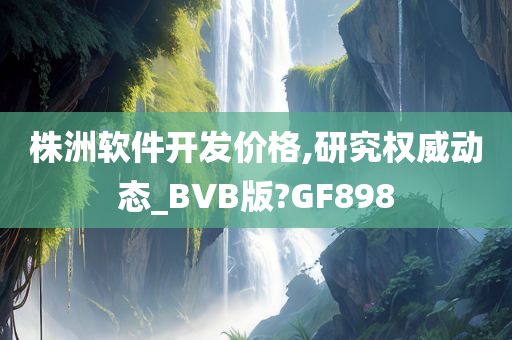 株洲软件开发价格,研究权威动态_BVB版?GF898