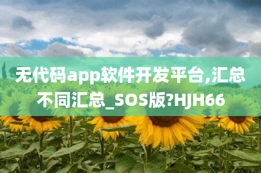 无代码app软件开发平台,汇总不同汇总_SOS版?HJH66