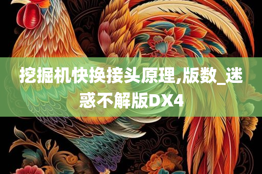 挖掘机快换接头原理,版数_迷惑不解版DX4