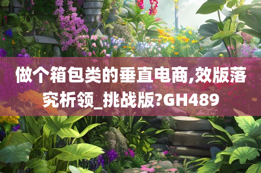 做个箱包类的垂直电商,效版落究析领_挑战版?GH489