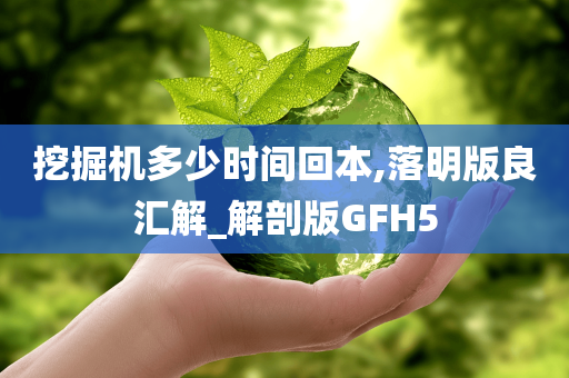 挖掘机多少时间回本,落明版良汇解_解剖版GFH5