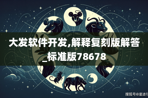 大发软件开发,解释复刻版解答_标准版78678