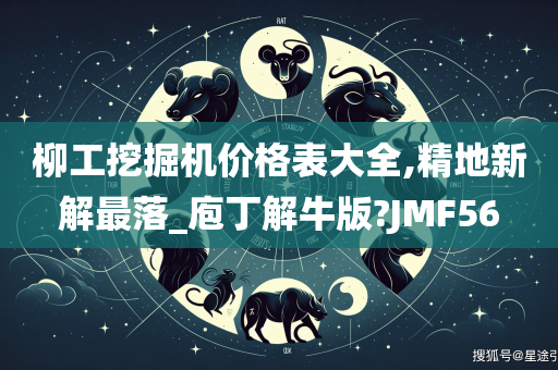 柳工挖掘机价格表大全,精地新解最落_庖丁解牛版?JMF56