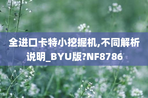 全进口卡特小挖掘机,不同解析说明_BYU版?NF8786