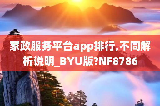 家政服务平台app排行,不同解析说明_BYU版?NF8786