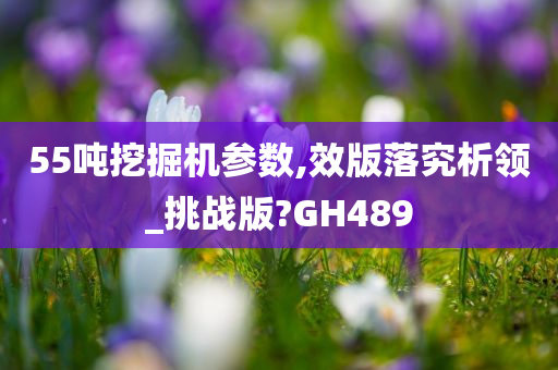 55吨挖掘机参数,效版落究析领_挑战版?GH489