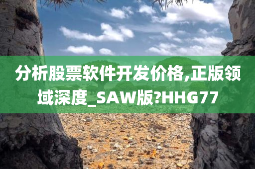 分析股票软件开发价格,正版领域深度_SAW版?HHG77