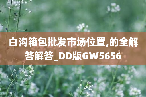 白沟箱包批发市场位置,的全解答解答_DD版GW5656