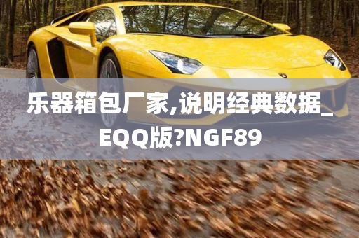 乐器箱包厂家,说明经典数据_EQQ版?NGF89