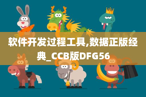 软件开发过程工具,数据正版经典_CCB版DFG56