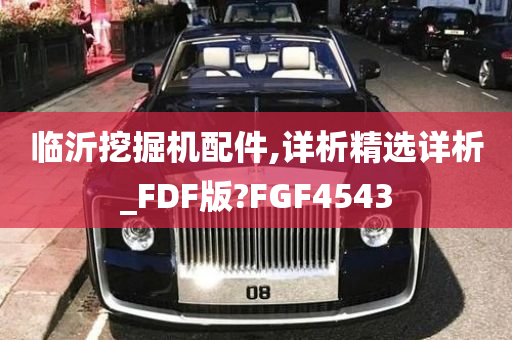 临沂挖掘机配件,详析精选详析_FDF版?FGF4543