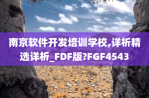 南京软件开发培训学校,详析精选详析_FDF版?FGF4543