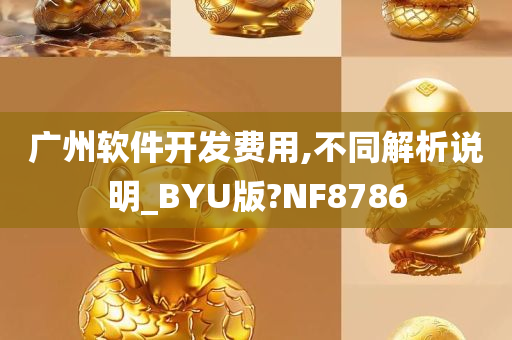 广州软件开发费用,不同解析说明_BYU版?NF8786