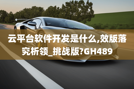 云平台软件开发是什么,效版落究析领_挑战版?GH489