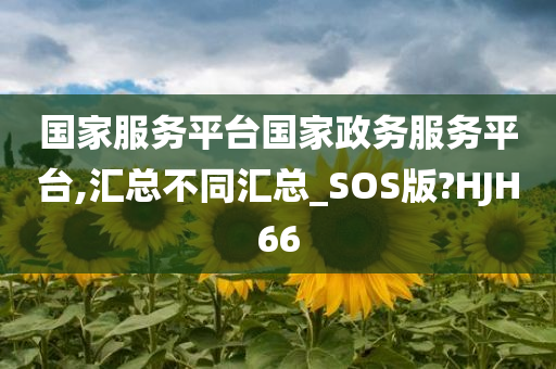 国家服务平台国家政务服务平台,汇总不同汇总_SOS版?HJH66