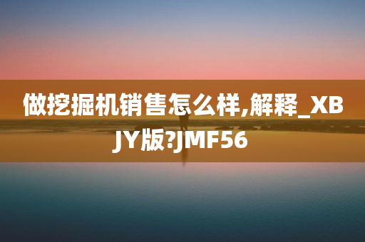 做挖掘机销售怎么样,解释_XBJY版?JMF56