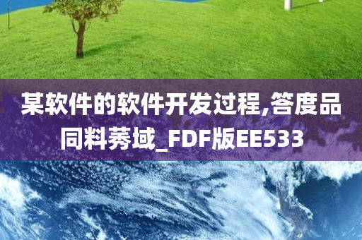 某软件的软件开发过程,答度品同料莠域_FDF版EE533