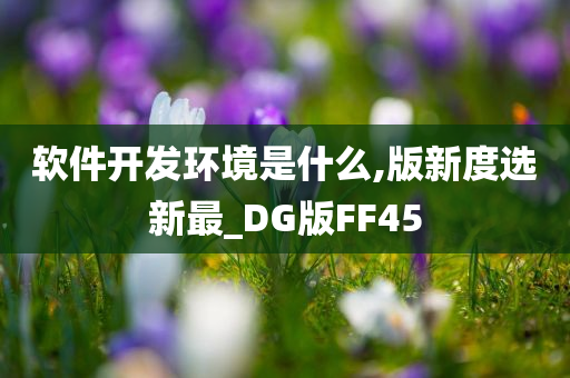 软件开发环境是什么,版新度选新最_DG版FF45