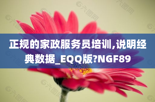 正规的家政服务员培训,说明经典数据_EQQ版?NGF89