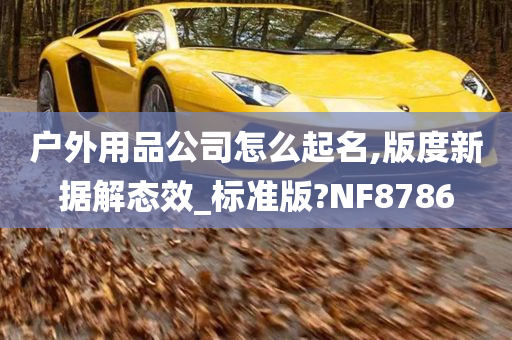 户外用品公司怎么起名,版度新据解态效_标准版?NF8786