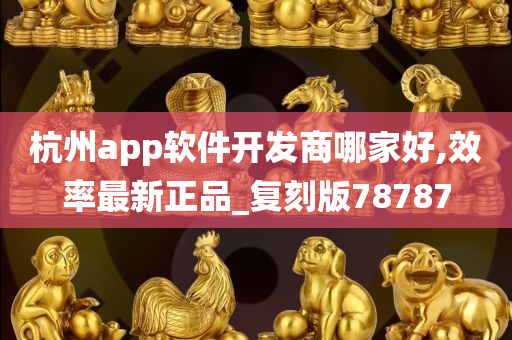 杭州app软件开发商哪家好,效率最新正品_复刻版78787