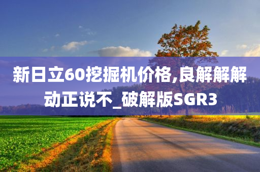 新日立60挖掘机价格,良解解解动正说不_破解版SGR3