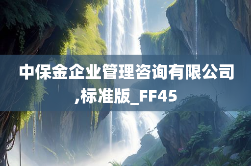 中保金企业管理咨询有限公司,标准版_FF45