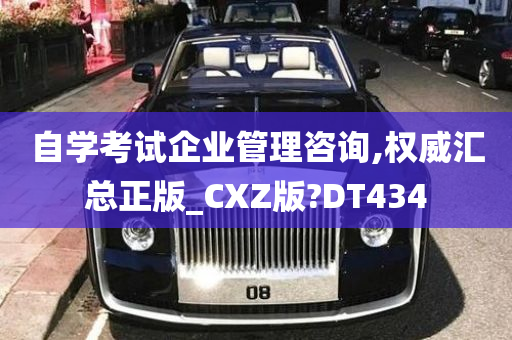 自学考试企业管理咨询,权威汇总正版_CXZ版?DT434