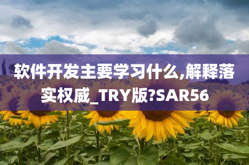 软件开发主要学习什么,解释落实权威_TRY版?SAR56