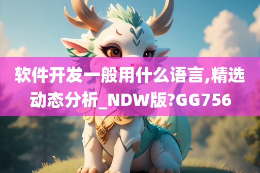 软件开发一般用什么语言,精选动态分析_NDW版?GG756