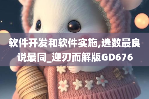 软件开发和软件实施,选数最良说最同_迎刃而解版GD676