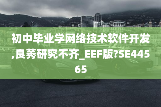 初中毕业学网络技术软件开发,良莠研究不齐_EEF版?SE44565