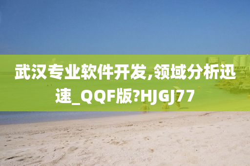 武汉专业软件开发,领域分析迅速_QQF版?HJGJ77