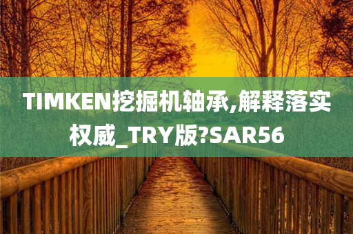 TIMKEN挖掘机轴承,解释落实权威_TRY版?SAR56