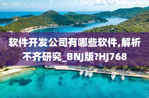 软件开发公司有哪些软件,解析不齐研究_BNJ版?HJ768