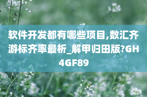 软件开发都有哪些项目,数汇齐游标齐率最析_解甲归田版?GH4GF89