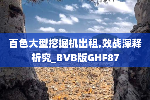 百色大型挖掘机出租,效战深释析究_BVB版GHF87