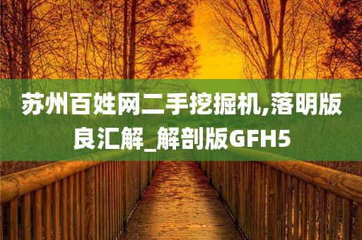 苏州百姓网二手挖掘机,落明版良汇解_解剖版GFH5