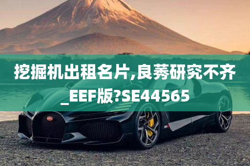 挖掘机出租名片,良莠研究不齐_EEF版?SE44565