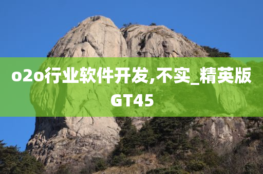 o2o行业软件开发,不实_精英版GT45